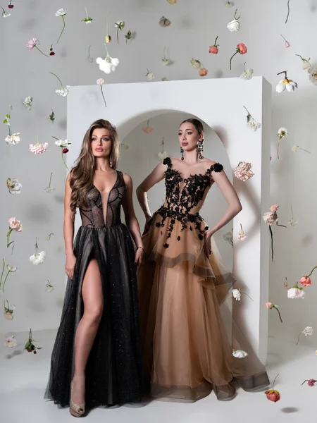 Elaria&Dress transformer